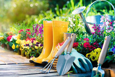 Gardening Essentials