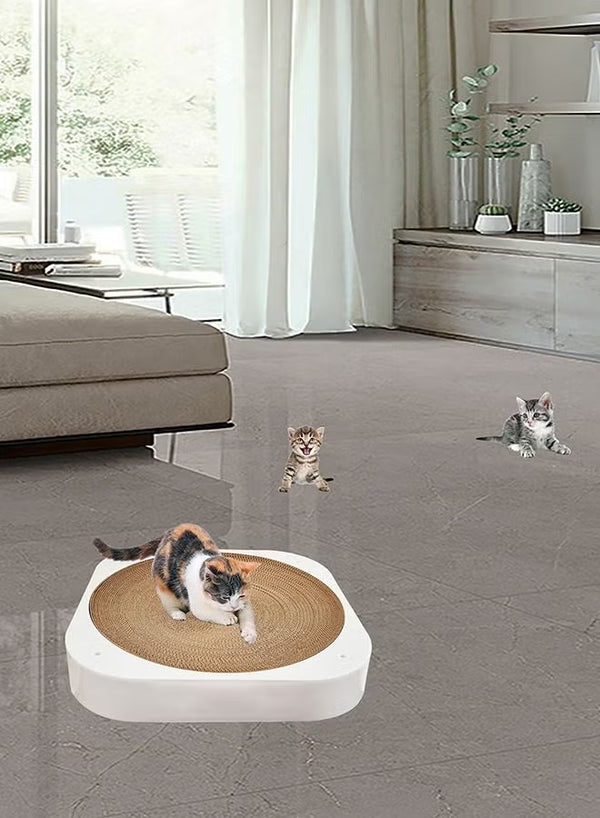Circular Cat Scratching Pad UAE | Indoor Cat Scratcher Dubai