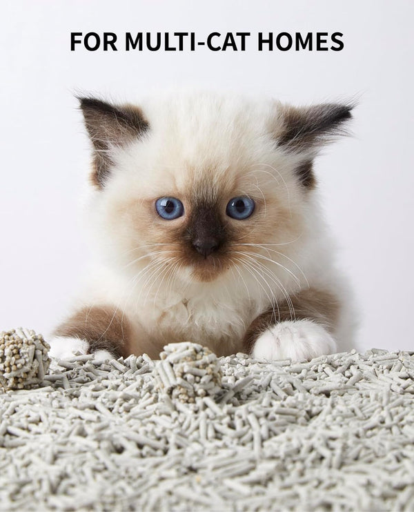 PETKIT pH Detection Tofu Cat Litter 7.2KG (3 Pack) | Dubkart UAE