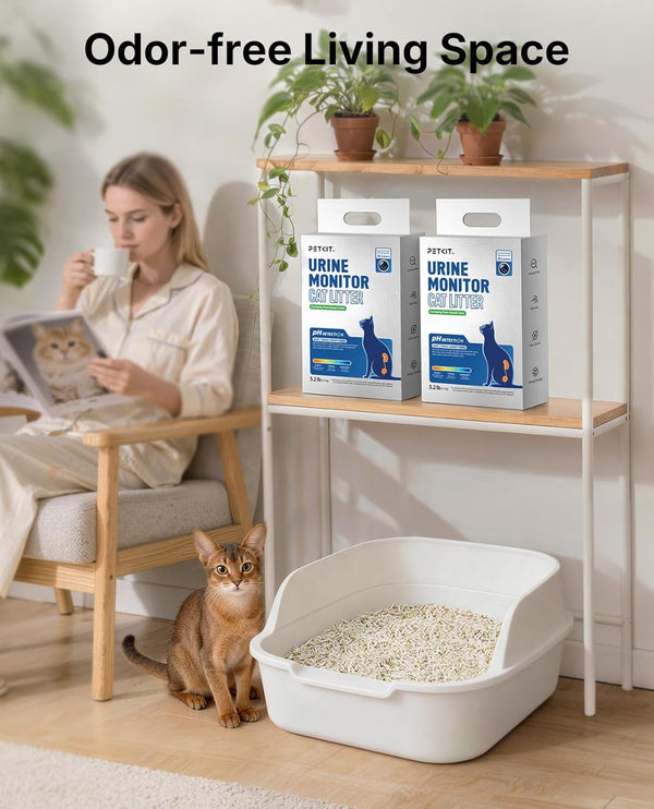 PETKIT pH Detection Tofu Cat Litter 7.2KG (3 Pack) | Dubkart UAE