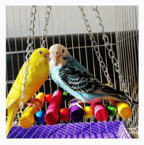 Dubkart 5 PCS Bird Parrot Pet Cage Hanging Bell Hammock Swing Toys