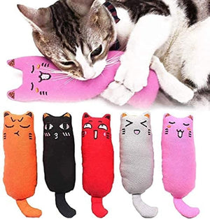 Dubkart 5 PCS Bite Resistant Catnip Cat Chew Toy