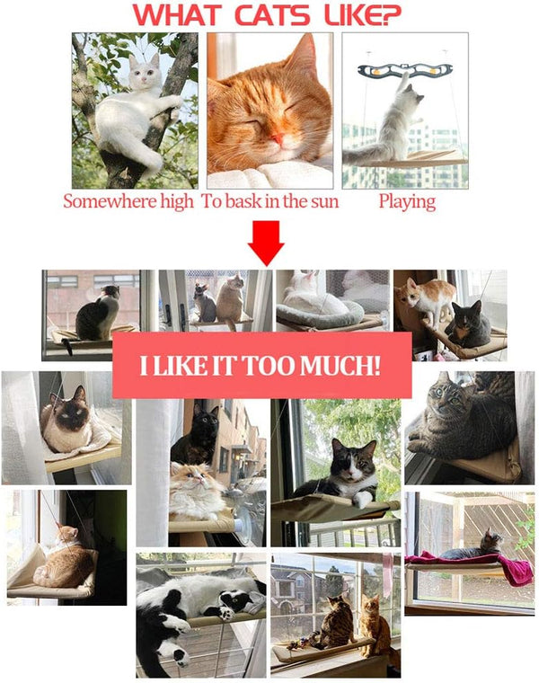 Dubkart Cat Window Perch Bed Hammock Seat 13kg Support