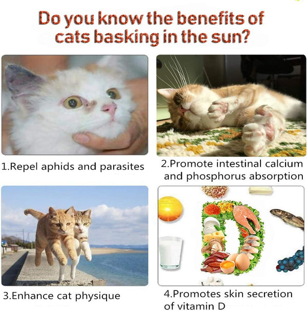 Dubkart Cat Window Perch Bed Hammock Seat 13kg Support