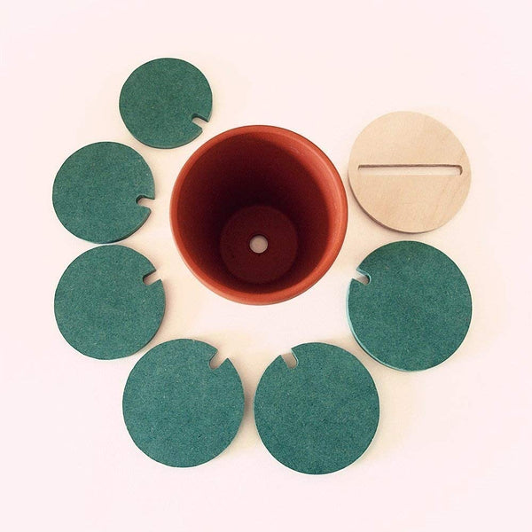 Dubkart Coasters DIY Cactus Potted Coasters with Holder