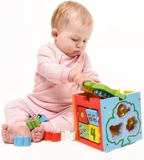 Dubkart Educational toys Kids Intelligence Box Educational Toy