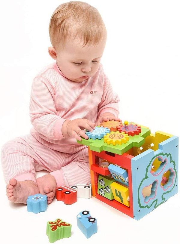 Dubkart Educational toys Kids Intelligence Box Educational Toy