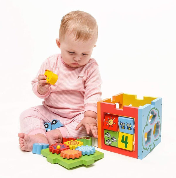 Dubkart Educational toys Kids Intelligence Box Educational Toy