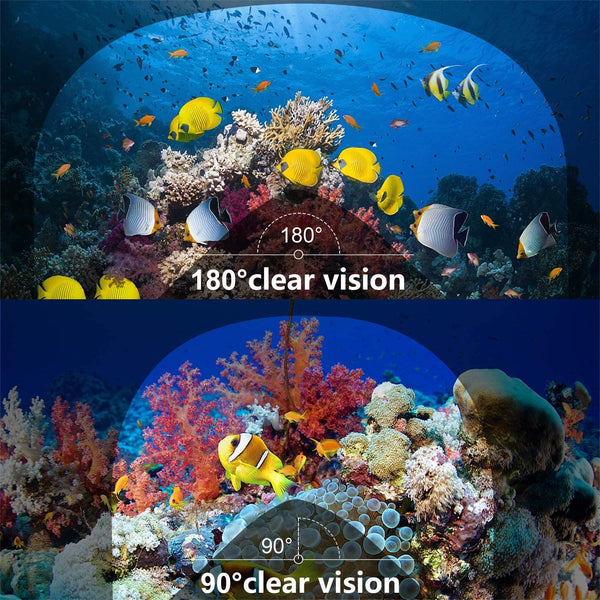 Dubkart Full Face Snorkelling Diving Scuba Mask (Large)