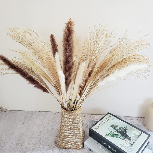 Dubkart Home decor 60 PCS Natural Dried Pampas Grass for Home Decor