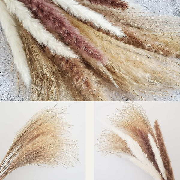 Dubkart Home decor 60 PCS Natural Dried Pampas Grass for Home Decor