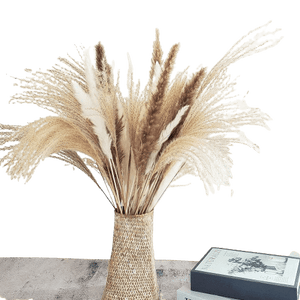 Dubkart Home decor 60 PCS Natural Dried Pampas Grass for Home Decor