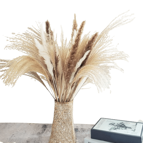 Dubkart Home decor 60 PCS Natural Dried Pampas Grass for Home Decor