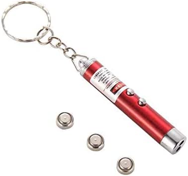 Dubkart LED Laser Pointer Pen with Flashlight Keychain