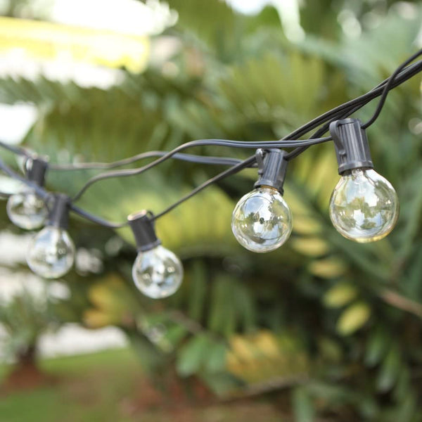 Dubkart Lights 25 Bulbs Globe Black String Lights 25 Feet