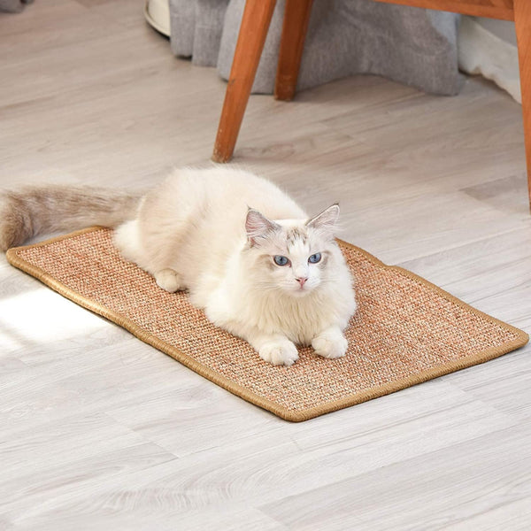 Dubkart Natural Sisal Fabric Cat Scratcher Rug Mat