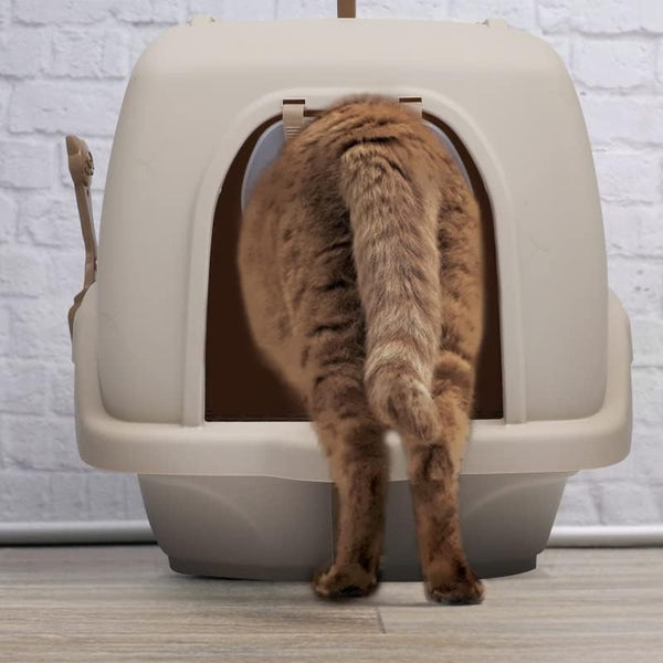 Dubkart Orchid Large Fully Enclosed Cat Litter Box Toilet Box Pan