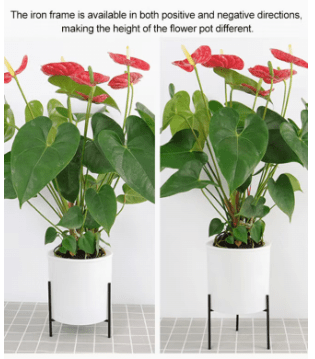 Dubkart Patio, Lawn & Garden Automatic Water Absorbing Flower Pot With Shelf