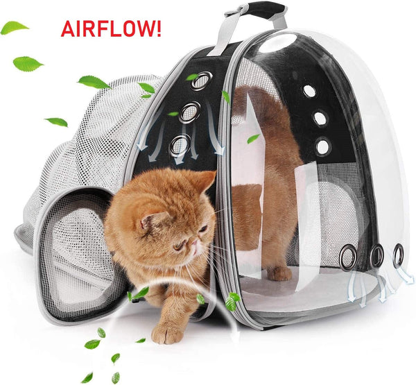 Dubkart Pet carriers Cat Dog Carrier Hard Backpack Expandable Transparent Window