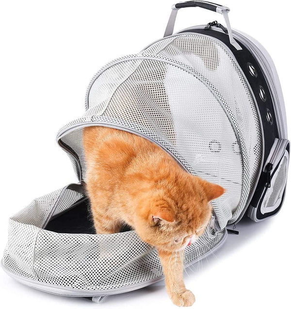 Dubkart Pet carriers Cat Dog Carrier Hard Backpack Expandable Transparent Window