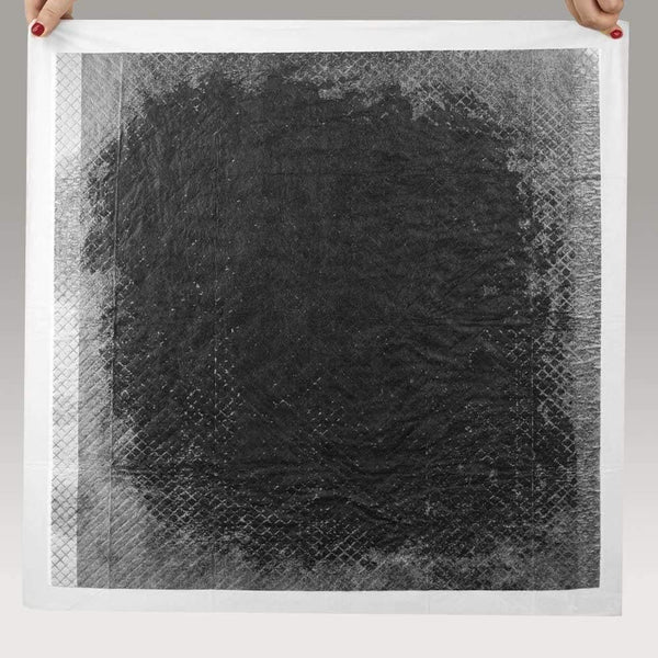 Dubkart Pet sanitary 10 PCS Ultra-Absorbent Carbon Disposable Pet Cat Dog Pee Pads