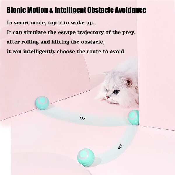 Dubkart Pet toys 360° Rotating Interactive Cat Toys Ball with LED Lights