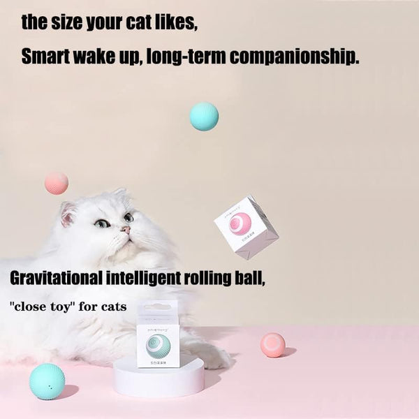 Dubkart Pet toys 360° Rotating Interactive Cat Toys Ball with LED Lights