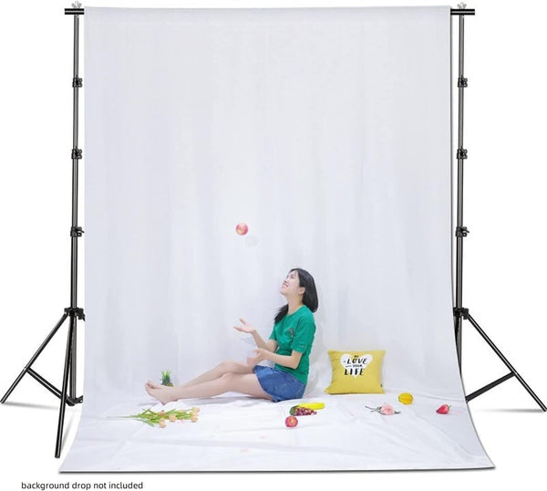 Dubkart Photo Studio Party Backdrop Background Stand with Case