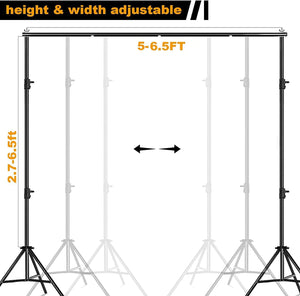 Dubkart Photography Photography Studio Party Photo Backdrop Kit with Carry Case