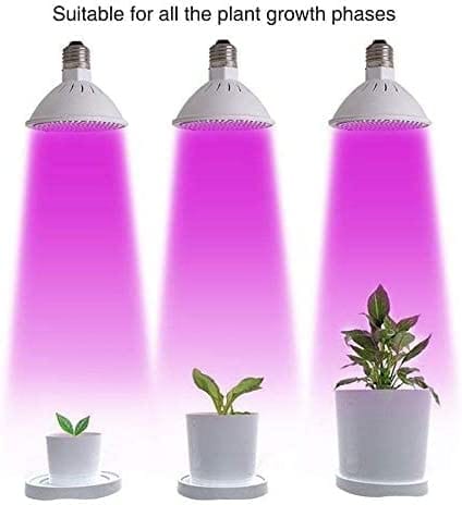 Dubkart Plant Grow Hydroponic 200 LED Light Bulb