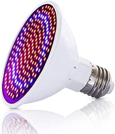 Dubkart Plant Grow Hydroponic 200 LED Light Bulb
