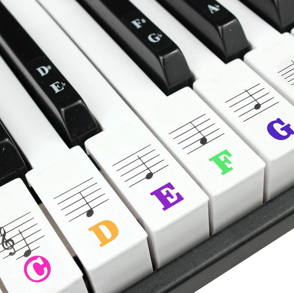 Dubkart Transparent Color Stickers Keyboard Piano 88/61/54/49