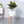 Dubkart Wood Frame Flower Plant Pot Set White 30 cms