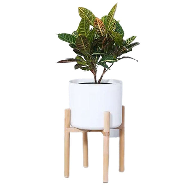Dubkart Wood Frame Flower Plant Pot Set White 30 cms